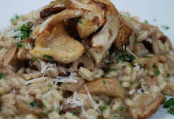 Porcini Mushroom Risotto